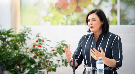 Fakten über den Holzeinschlag 2020