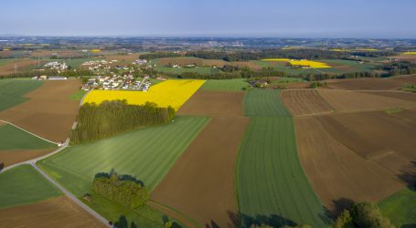 Nachweismethode für Neue Gentechnik entwickelt