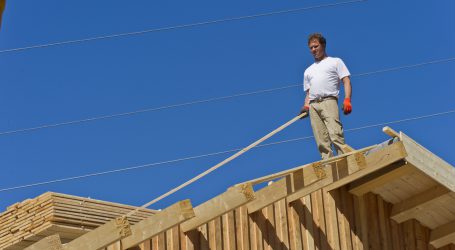 Holzforschung dient der ökosozialen Marktwirtschaft