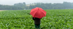 Ist der Rübenpakt mehr als ein Signal?