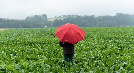 Ist der Rübenpakt mehr als ein Signal?
