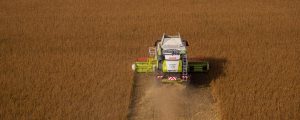 EU-Agraropposition möchte Mercosur-Pakt aufhalten