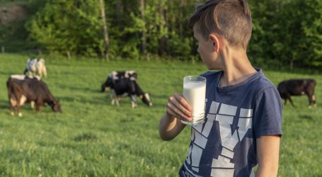 Alte Bio-Verordnung bekommt Gnadenfrist