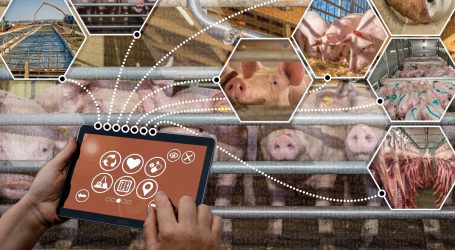 Online Tagung über digitale Technologien