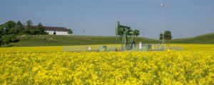 EU-Kommission erteilt Biokraftstoffen vom Acker Absage