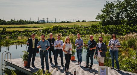 Elf Weine aus Thermenregion jetzt Salon-Weine