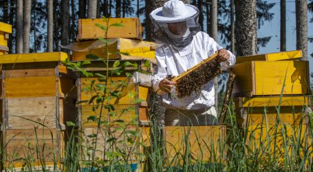FAIE bittet zu Webseminar über Imkerei und Bestäubung