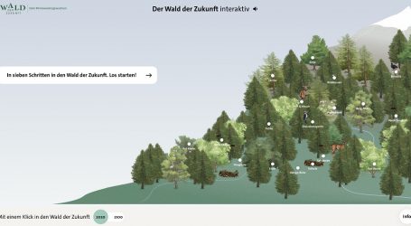 Bundesforste stellen Klimafitness in die Auslage