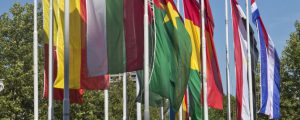 Österreich als Wegbereiter der GAP-Reform
