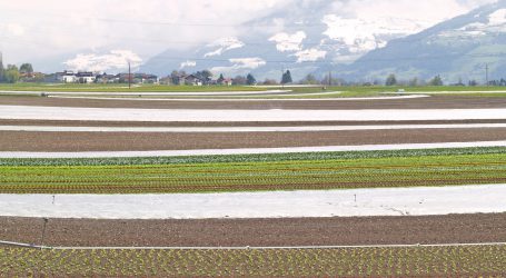 Spar Tirol kooperiert mit 137 Tiroler Erzeugern