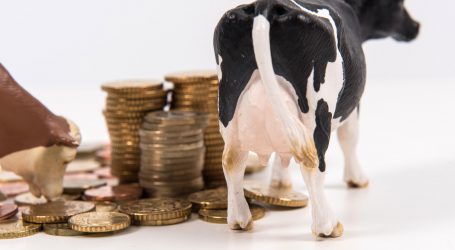 Anhaltend positive Signale vom internationalen Milchmarkt
