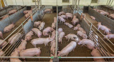 Bio Austria befremdet über Stellungnahmen zur GAP