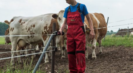 Tierische Produktion 2019 im Minus