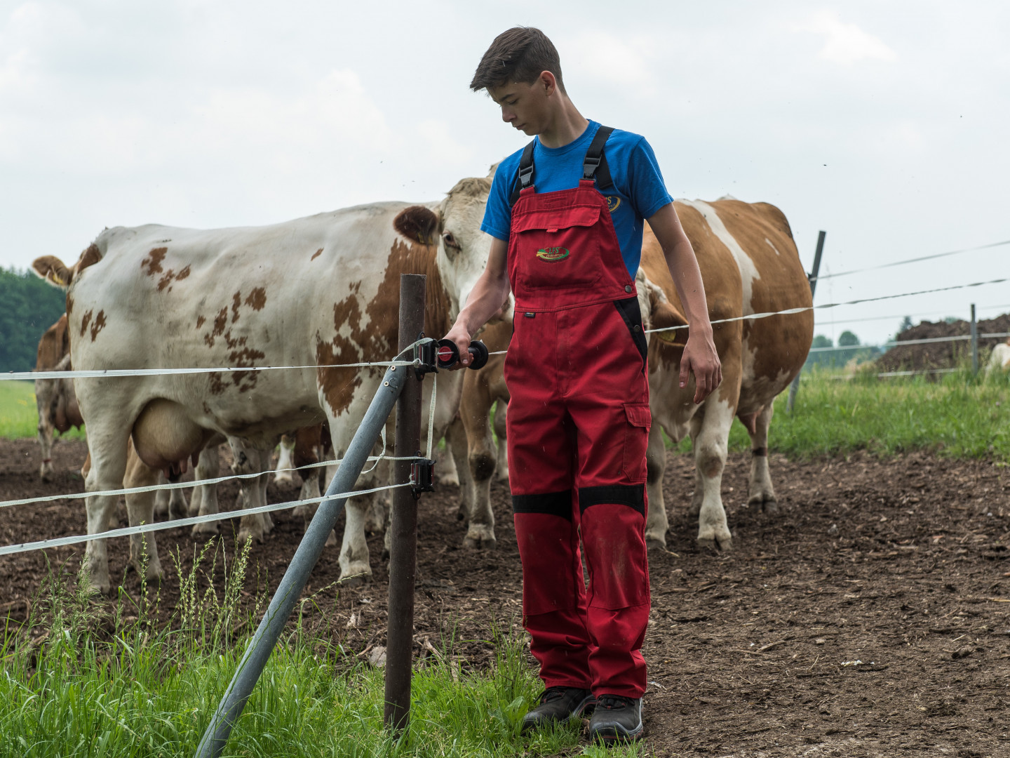 Tierische Produktion 2019 im Minus Blick ins Land