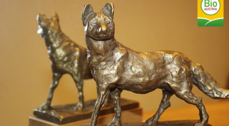 Einreichen für Bio-Fuchs-Preis wieder möglich