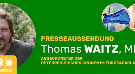 Grüne fordern EU-Kommission zur Nachbesserung auf