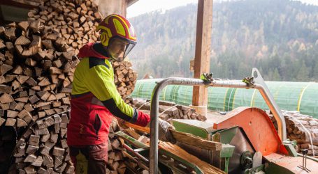 Fünf heiße Fragen für den Brennholzkäufer