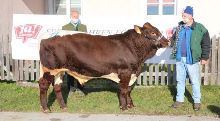 JA! Natürlich sponsert Pinzgauer Zucht