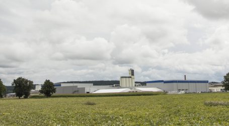 Deutsche Milchbauern zu Faschingsstart voller Ernst