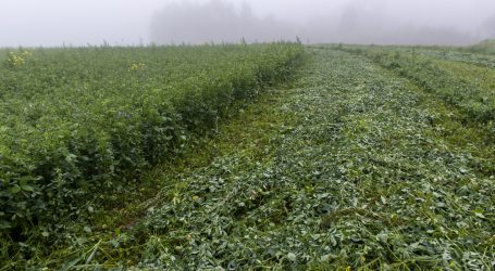 ÖKL-Webinar über Begrünung und Erosion