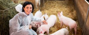 Innovation Farm bereitet dem Tierwohl den Weg