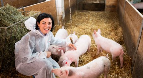 Innovation Farm bereitet dem Tierwohl den Weg