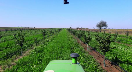 ÖKL-Webinar über den Boden im Wandel