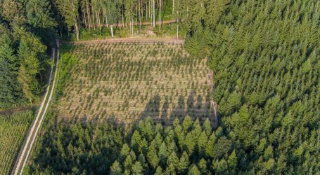 Jungbauernschaft kürt die Sieger ihres Innovationspreises