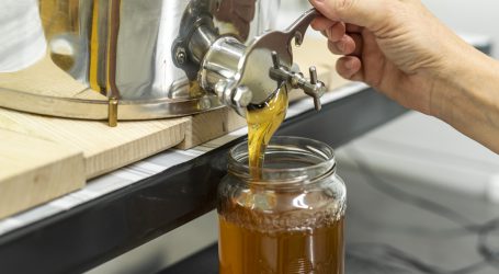 Global 2000 argwöhnisch bei Pestizidreduktion