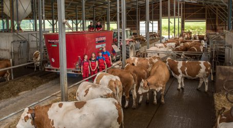 In Bayern geben überdurchschnittlich viele Milchbauern auf
