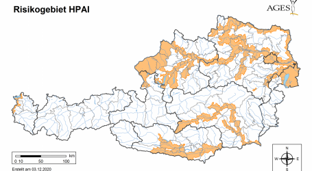 Vorkehrungen gegen Geflügelpest