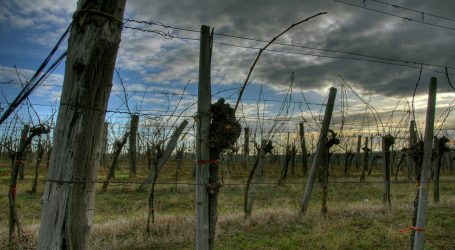 Sorge um Uhudlerverbot befremdlich