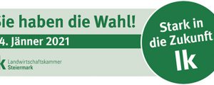 LK-Präsidentenduo fordert Abhilfe für Schweinebauern