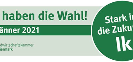 LK-Präsidentenduo fordert Abhilfe für Schweinebauern