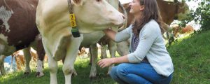 Berglandmilch pumpte 7 Mio. Euro ins Tierwohl
