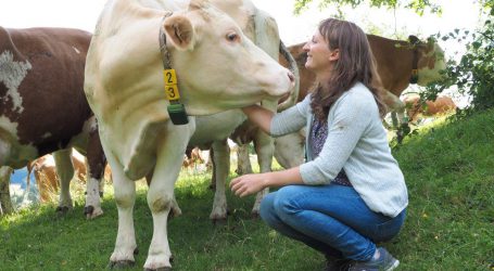 Berglandmilch pumpte 7 Mio. Euro ins Tierwohl