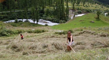 Dokumentarfilm DAVOS bald im Streaming