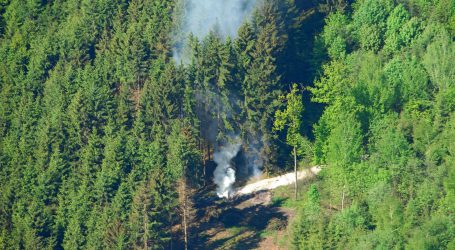 Mittel aus dem Waldfonds können ab Februar fließen