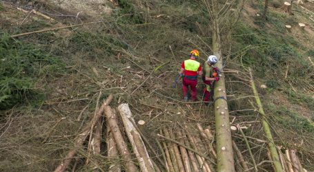 Ab Februar steht der Waldfonds zur Verfügung