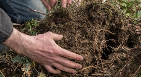Schweizer FiBL Bioackerbautagung online