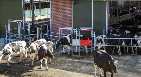 Lely bringt Lösungen in der Kreislaufwirtschaft