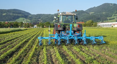 Schon 12% Bio-Betriebe in Deutschland