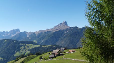 ÖBV kritisiert Verlustersatz