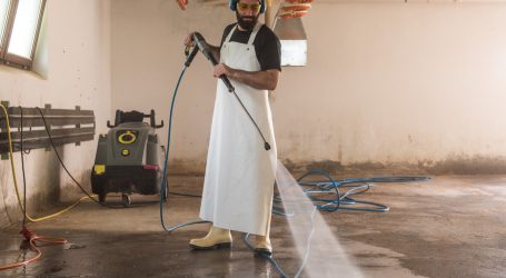 Geflügelhalter in Teilen von NÖ zu Vorsicht angehalten