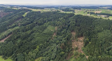Plattform für den klimafitten Wald online