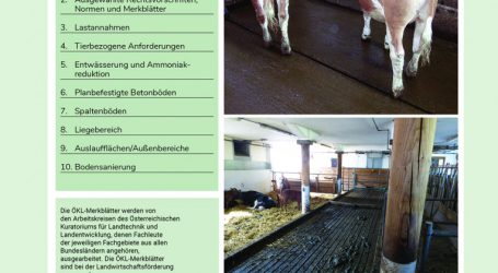 Worauf man bei Rinderstallböden achten soll?