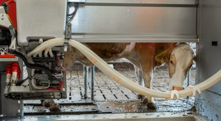 Die AMS liegen besonders in Oberösterreich im Trend