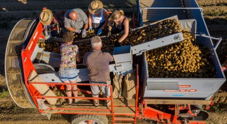 Valdivia, Herbstgold und Graziosa überzeugten die Jury