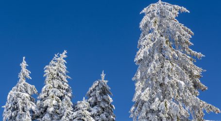 Drei Listen fordern den Tiroler Bauernbund heraus