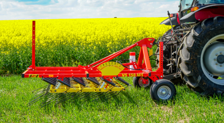 Schonend aber nachdrücklich striegeln